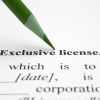 Esistono due tipi di licenze. Le licenze Open (dette anche Free) e licenze Proprietarie. 